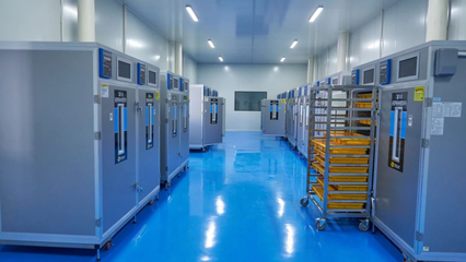 科技賦能 計算機技術(shù)驅(qū)動富平柿子產(chǎn)業(yè)智慧升級